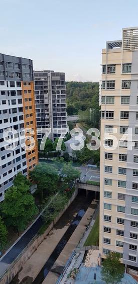 Blk 456 Segar Road (Bukit Panjang), HDB 4 Rooms #170799002